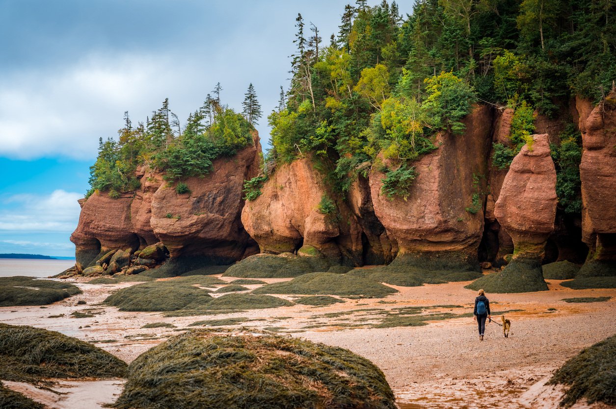 bay-of-fundy-low-tide-istock