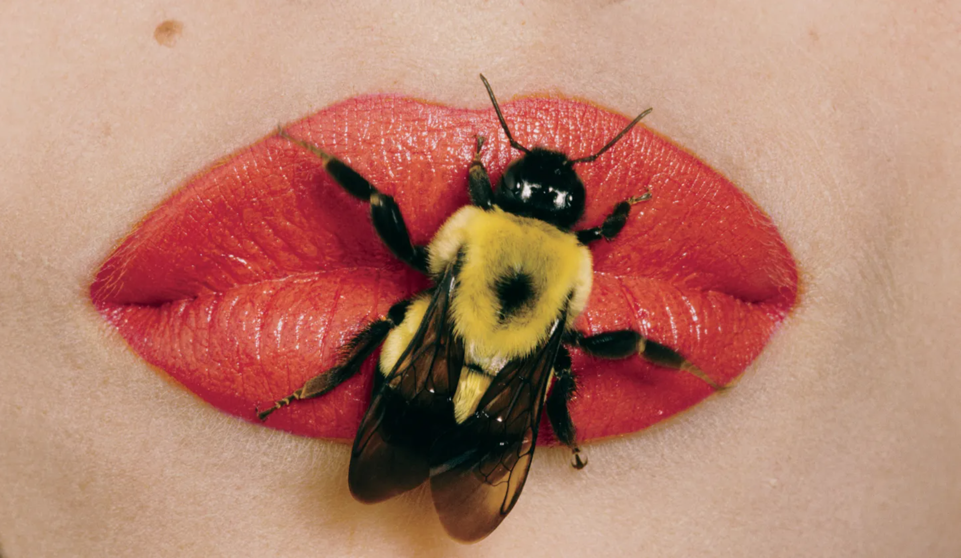 bee-sting-therapy-irving-penn_vogue-1995