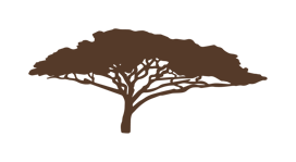 Safari